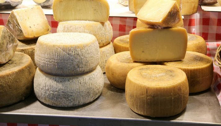 Vediamo quali sono le caratteristiche principali, i valori nutrizionali del formaggio di fossa e quali sono i suoi maggiori usi nelle ricette di cucina