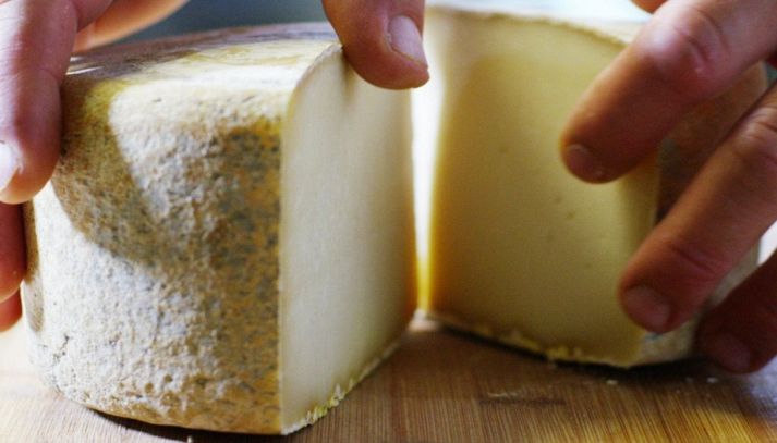 Un formaggio delizioso: come usare in cucina il formaggio latteria