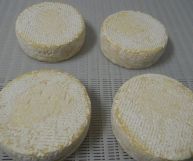 Dalle Langhe alla tavola, il murazzano è un formaggio eccellente che si gusta da solo o arricchisce risotti e timballi