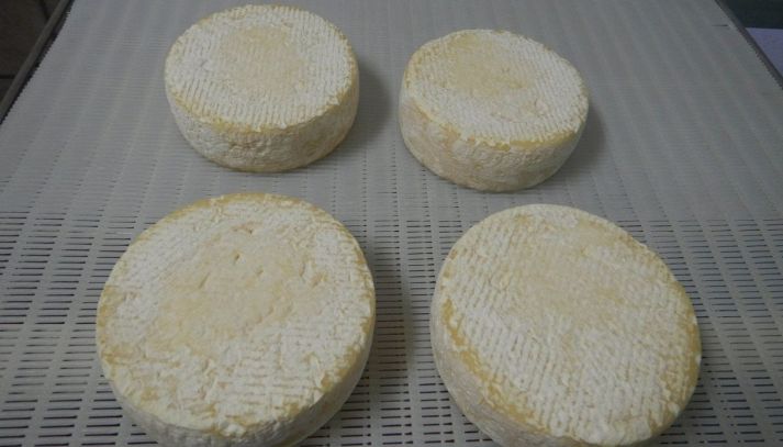 Dalle Langhe alla tavola, il murazzano è un formaggio eccellente che si gusta da solo o arricchisce risotti e timballi