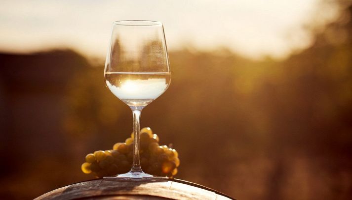 Frascati Superiore DOCG, vino ottimo con primi piatti tradizionali
