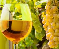 Friuli Grave Friulano DOC