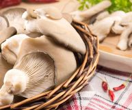 I funghi pleurotus sono tra i più amati in cucina: si prestano facilmente a una quantità infinita di ricette grazie alla loro versatilità