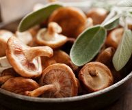 Gustosi, nutrienti e dal sapore inconfondibile: i funghi shiitake sono un prezioso ingrediente proveniente dall'Asia