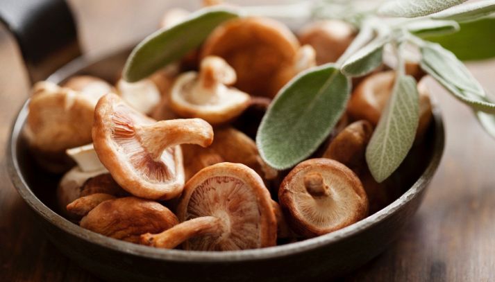 Gustosi, nutrienti e dal sapore inconfondibile: i funghi shiitake sono un prezioso ingrediente proveniente dall'Asia