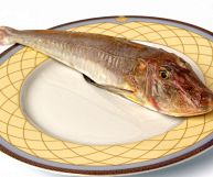 Gallinella: tutti gli usi in cucina di questo pesce