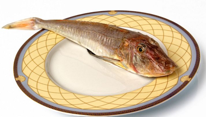 Gallinella: tutti gli usi in cucina di questo pesce