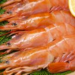 I gamberi giganti argentini, deliziosi crostacei dalla polpa ricca di sapore, sono un alimento dalle mille proprietà: ecco tutti i loro benefici