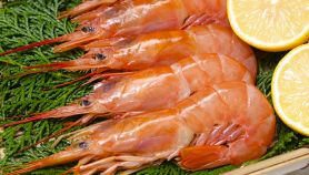 I gamberi giganti argentini, deliziosi crostacei dalla polpa ricca di sapore, sono un alimento dalle mille propriet&agrave;: ecco tutti i loro benefici