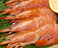 I gamberi giganti argentini, deliziosi crostacei dalla polpa ricca di sapore, sono un alimento dalle mille proprietà: ecco tutti i loro benefici