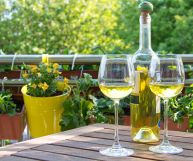 Garda DOC Riesling Italico, vino ottimo con il pesce