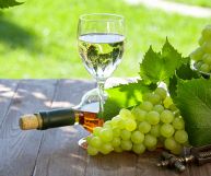 Garda DOC Sauvignon, vino ottimo con primi delicati e piatti di pesce