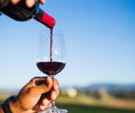 Genazzano DOC Rosso, vino ottimo con primi piatti e carne bianca