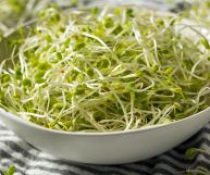 i germogli-alfa-alfa sono un ingrediente ottimo per tante ricette