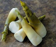 Scopriamo proprietà e caratteristiche dei famosi germogli di bambù