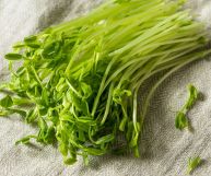 Germogli di piselli: tutte le proprietà, i valori nutritivi, benefici e controindicazioni