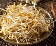 i germogli di soia sono un ingrediente ottimo per tante ricette