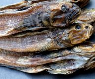 I ghiozzi sono pesci dal basso contenuto calorico, ricchi di proprietà benefiche per l'organismo: ecco quali sono le loro caratteristiche nutrizionali