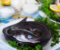 Un pesce dalle mille proprietà: il grongo