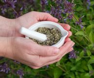 Un ingrediente dalle preziose caratteristiche. Sapere come usare l’issopo in cucina permette di variare e preparare numerose ricette