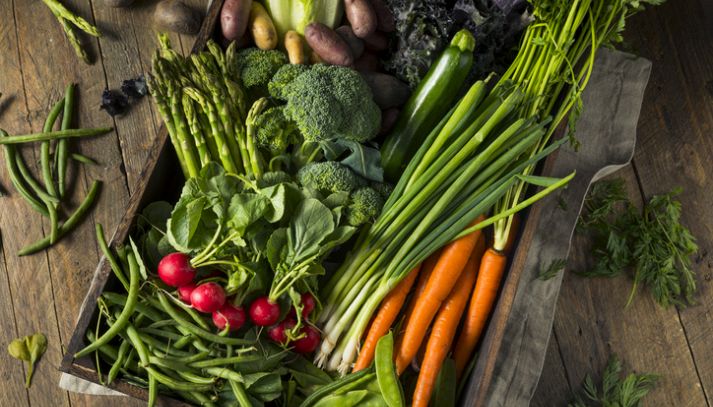 L'importanza e i vantaggi di consumare le verdure di stagione: dal migliore apporto nutrizionale al risparmio