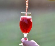 Lambrusco di Sorbara DOC Rosso, bicchiere con vino