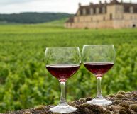 Lamezia DOC Rosso, vino ottimo con antipasti di terra e primi di carne