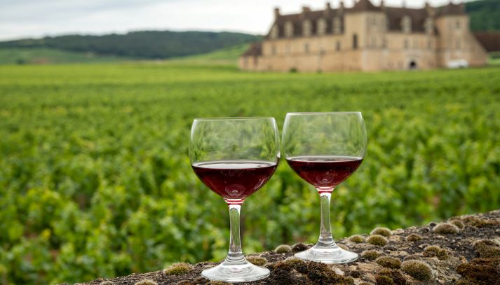 Lamezia DOC Rosso, vino ottimo con antipasti di terra e primi di carne