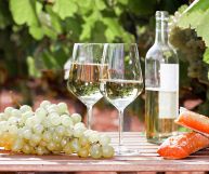 Langhe DOC Chardonnay, vino ottimo con antipasti misti e piatti di pesce