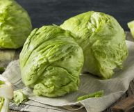 Lattuga iceberg: proprieta e caratteristiche dell'insalata più conosciuta al mondo