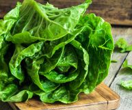 Vediamo quali sono le caratteristiche principali, i valori nutrizionali, i benefici e le controindicazioni della lattuga romana, la vera regina delle insalate