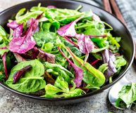Rende più colorate le insalate e ha delle caratteristiche uniche: perché scoprire il lattughino rosso e usarlo più frequentemente nelle nostre ricette