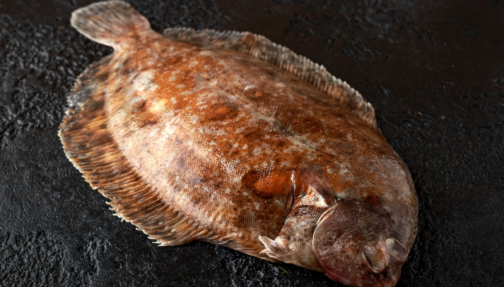 La limanda, conosciuta anche come limanda sogliola, è un pregiato pesce dei mari del Nord, molto apprezzato per le sue carni tenere e delicate