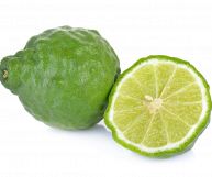 Il lime kaffir, una variante del più conosciuto lime, è un agrume dal sapore veramente aspro: scopriamo tutti i suoi benefici e le controindicazioni