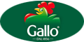 logo_ovale1