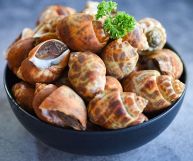 le lumache di mare sono un ingrediente ottimo per tante ricette