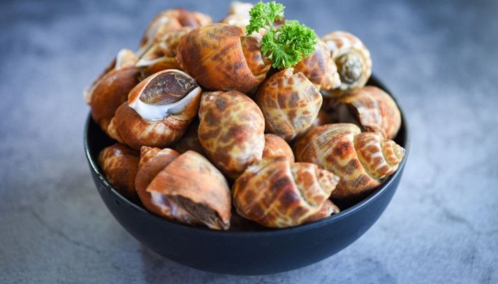 le lumache di mare sono un ingrediente ottimo per tante ricette