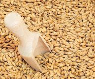 Il malto è un prodotto molto versatile in cucina, utilizzato nella panificazione e per produrre bevande alcoliche