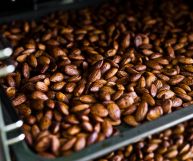 Le mandorle tostate a lamelle sono un ottimo snack e possono essere usate per guarnire e arricchire diverse ricette, scopriamo come