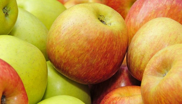 Un frutto salutare e dall'ottimo gusto acidulo, sapere come usare le mele renette in cucina consente di migliorare la propria dieta