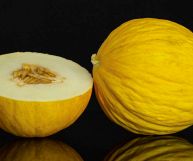Un ortaggio comunemente consumato come frutto: il melone giallo invernale non può mancare in tavola e nelle migliori ricette della nostra tradizione