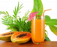 Mixybar Papaya è una bevanda zuccherina e rinfrescante, perfetta anche per arricchire buonissimi dolci: scopriamo le sue proprietà nutrizionali