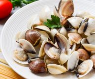 I molluschi sono i protagonisti dei piatti a base di pesce e di tantissime ricette gustose e fantasiose
