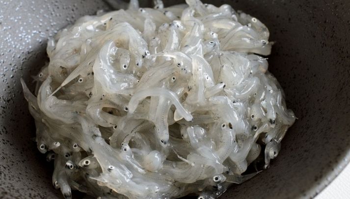Novellame di pesce azzurro conservato sotto sale, la nuditella o nudilla è versatile in molte ricette dal gusto mediterraneo