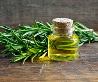 Olio aromatico dalle preziose caratteristiche. Sapere come usare l’olio extravergine d’oliva al rosmarino in cucina permette di variare e migliorare la propria alimentazione