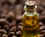 Vediamo insieme quali sono gli usi, le caratteristiche principali dell'olio di nocciola e come viene impiegato in cucina al posto dei grassi tradizionali