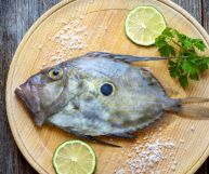 il Pesce San Pietro è un ingrediente ottimo per tante ricette