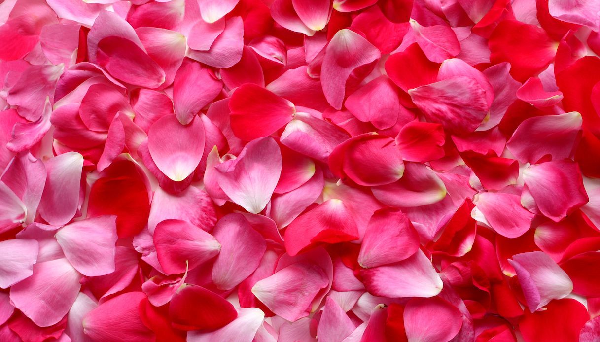 Ricette con Petali di rosa