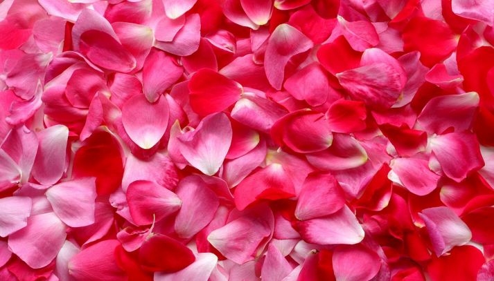 I petali di rosa possono essere utilizzati in cucina, sia come come elemento decorativo, sia come alimento vero e proprio