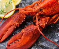 La polpa di aragosta è un ingrediente ottimo per tante ricette